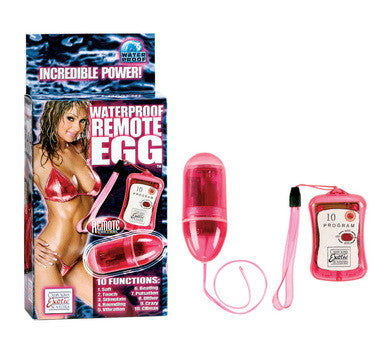 Waterproof remote egg