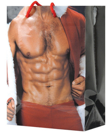 Santa&#039;s chest w/robe gift bag