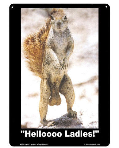 Helloooo ladies tin sign