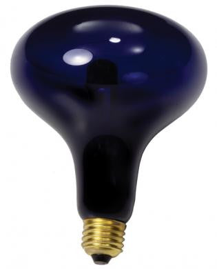 Large Mushroom Black Light Bulb