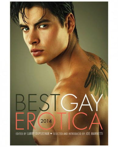 Best Gay Erotica Book 2014