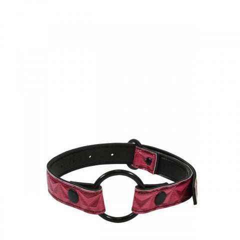 Interchangeable O Ring Mouth Gag - Pink