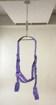 Fetish Fantasy Series Fantasy Swing - purple