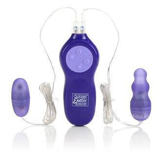 Passion bullets-bullet and multi probe bullet - purple