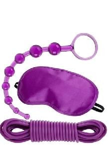Sinful Desires Kit - Purple
