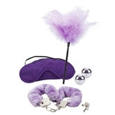 Dr.Berman &amp;#44;Shades of purple&amp;#44; Playroom kit