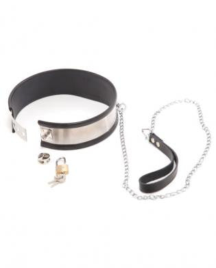 Rapture Steel Band Collar w/Leash - Small